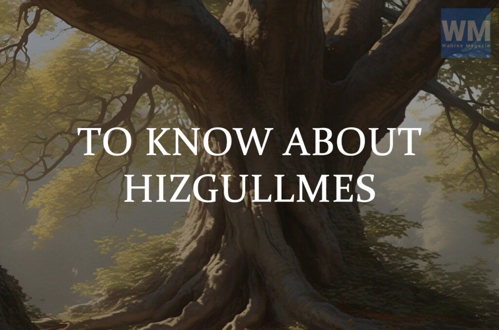 to know about hizgullmes